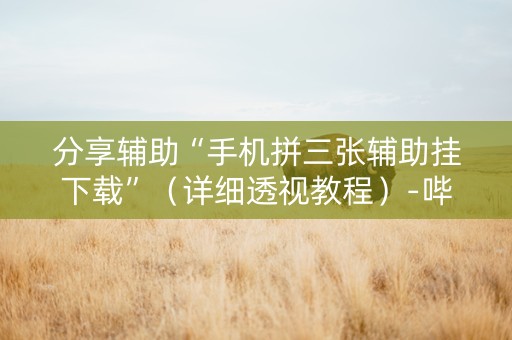 分享辅助“手机拼三张辅助挂下载”（详细透视教程）-哔哩哔哩