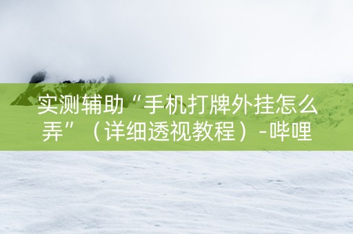 实测辅助“手机打牌外挂怎么弄”（详细透视教程）-哔哩哔哩