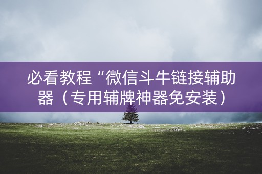 必看教程“微信斗牛链接辅助器（专用辅牌神器免安装）