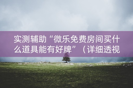 实测辅助“微乐免费房间买什么道具能有好牌”（详细透视教程）-哔哩哔哩