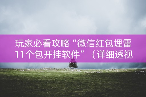 玩家必看攻略“微信红包埋雷11个包开挂软件”（详细透视教程）-哔哩哔哩