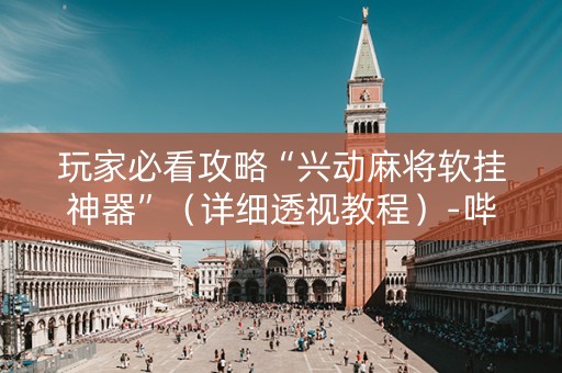 玩家必看攻略“兴动麻将软挂神器”（详细透视教程）-哔哩哔哩