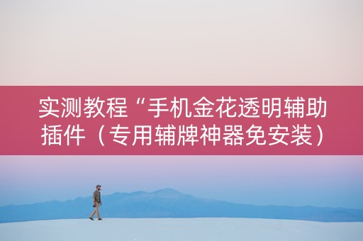 实测教程“手机金花透明辅助插件（专用辅牌神器免安装）