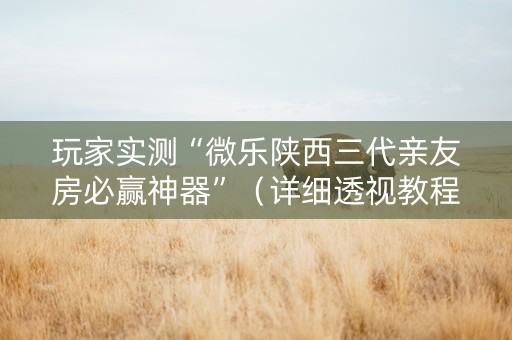 玩家实测“微乐陕西三代亲友房必赢神器”（详细透视教程）-哔哩哔哩