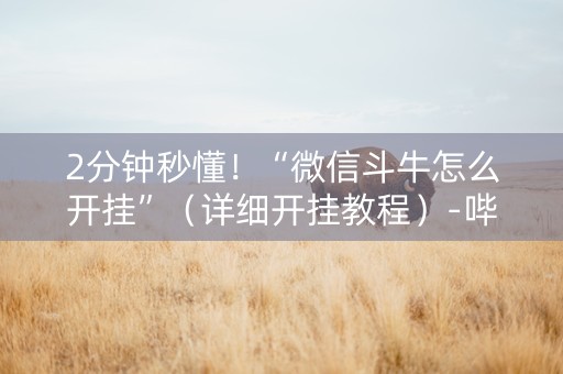 2分钟秒懂！“微信斗牛怎么开挂”（详细开挂教程）-哔哩哔哩
