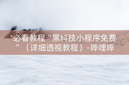 必看教程“黑科技小程序免费”（详细透视教程）-哔哩哔哩
