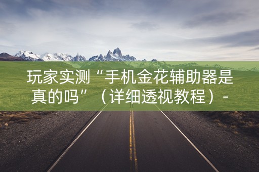 玩家实测“手机金花辅助器是真的吗”（详细透视教程）-哔哩哔哩