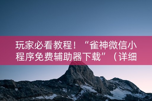 玩家必看教程！“雀神微信小程序免费辅助器下载”（详细开挂教程）-哔哩哔哩
