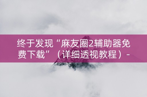 终于发现“麻友圈2辅助器免费下载”（详细透视教程）-哔哩哔哩