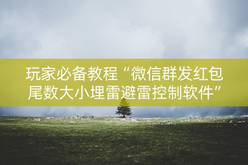 玩家必备教程“微信群发红包尾数大小埋雷避雷控制软件”（详细透视教程）-哔哩哔哩