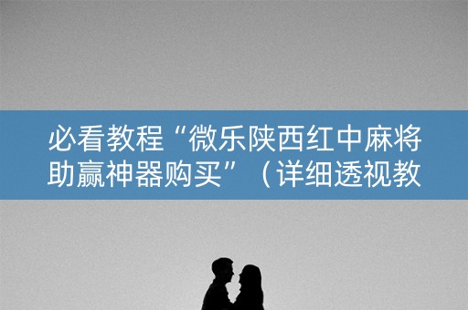 必看教程“微乐陕西红中麻将助赢神器购买”（详细透视教程）-哔哩哔哩