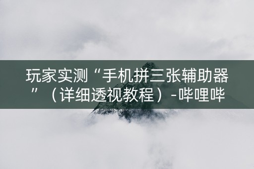 玩家实测“手机拼三张辅助器”（详细透视教程）-哔哩哔哩