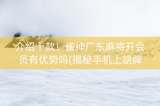介绍十款！雀神广东麻将开会员有优势吗(揭秘手机上胡牌技巧)