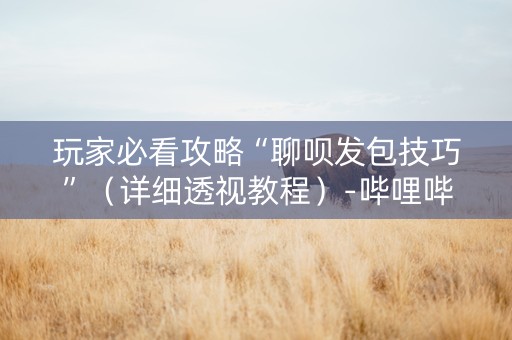 玩家必看攻略“聊呗发包技巧”（详细透视教程）-哔哩哔哩