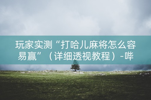 玩家实测“打哈儿麻将怎么容易赢”（详细透视教程）-哔哩哔哩