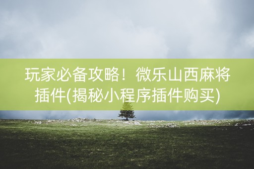 玩家必备攻略！微乐山西麻将插件(揭秘小程序插件购买)