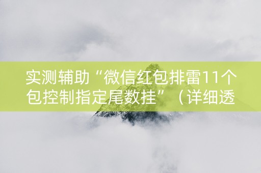 实测辅助“微信红包排雷11个包控制指定尾数挂”（详细透视教程）-哔哩哔哩