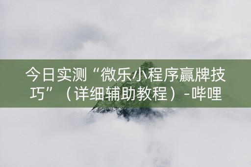 今日实测“微乐小程序赢牌技巧”（详细辅助教程）-哔哩哔哩