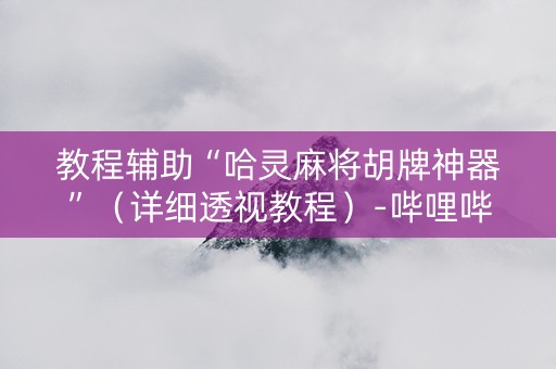 教程辅助“哈灵麻将胡牌神器”（详细透视教程）-哔哩哔哩