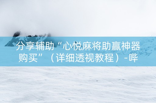 分享辅助“心悦麻将助赢神器购买”（详细透视教程）-哔哩哔哩