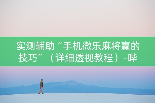 实测辅助“手机微乐麻将赢的技巧”（详细透视教程）-哔哩哔哩