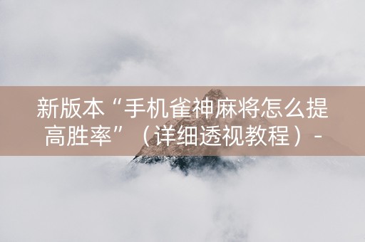 新版本“手机雀神麻将怎么提高胜率”（详细透视教程）-哔哩哔哩