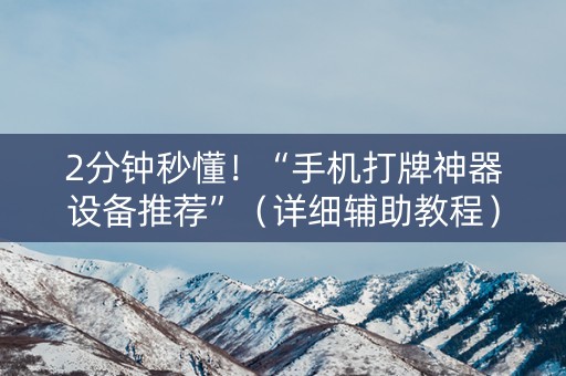 2分钟秒懂！“手机打牌神器设备推荐”（详细辅助教程）-哔哩哔哩