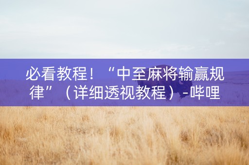 必看教程！“中至麻将输赢规律”（详细透视教程）-哔哩哔哩