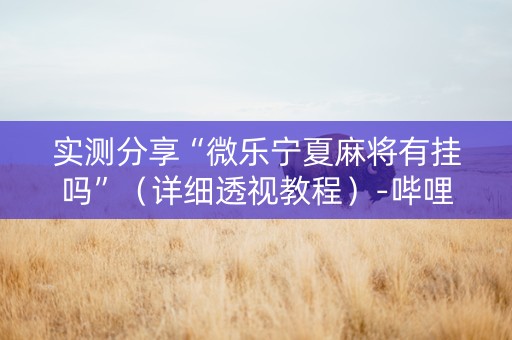 实测分享“微乐宁夏麻将有挂吗”（详细透视教程）-哔哩哔哩