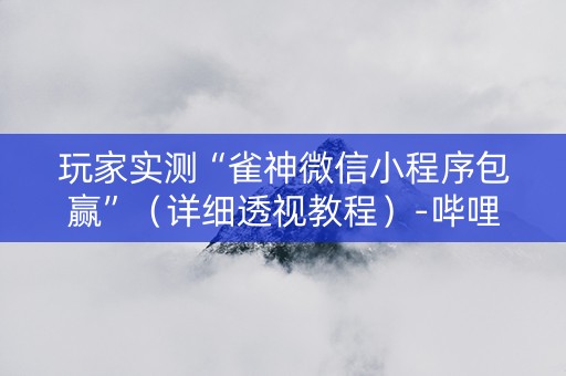 玩家实测“雀神微信小程序包赢”（详细透视教程）-哔哩哔哩