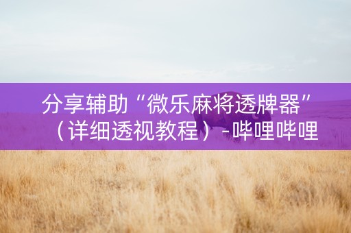 分享辅助“微乐麻将透牌器”（详细透视教程）-哔哩哔哩
