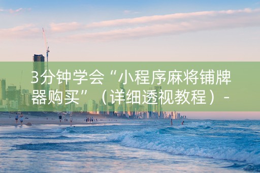 3分钟学会“小程序麻将铺牌器购买”（详细透视教程）-哔哩哔哩