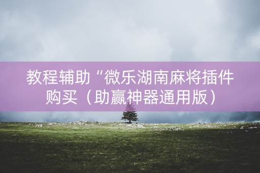 教程辅助“微乐湖南麻将插件购买（助赢神器通用版）