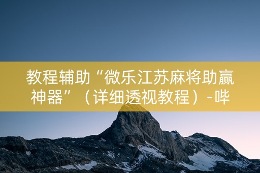 教程辅助“微乐江苏麻将助赢神器”（详细透视教程）-哔哩哔哩