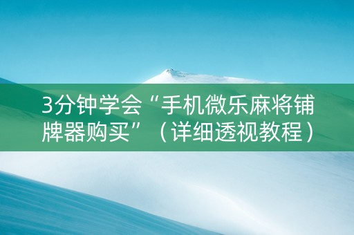 3分钟学会“手机微乐麻将铺牌器购买”（详细透视教程）-哔哩哔哩