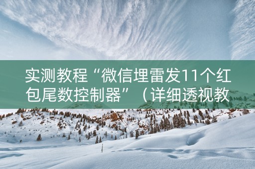 实测教程“微信埋雷发11个红包尾数控制器”（详细透视教程）-哔哩哔哩