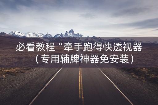 必看教程“牵手跑得快透视器（专用辅牌神器免安装）