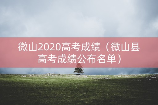 微山2020高考成绩（微山县高考成绩公布名单）