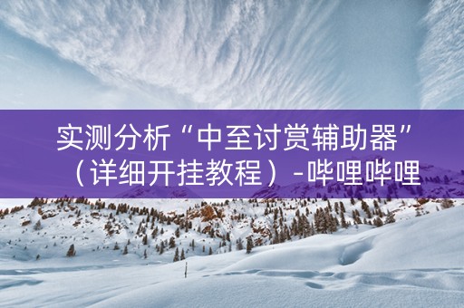 实测分析“中至讨赏辅助器”（详细开挂教程）-哔哩哔哩