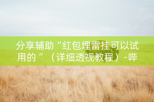 分享辅助“红包埋雷挂可以试用的 ”（详细透视教程）-哔哩哔哩