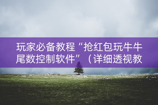 玩家必备教程“抢红包玩牛牛尾数控制软件”（详细透视教程）-哔哩哔哩