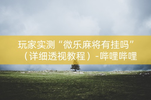 玩家实测“微乐麻将有挂吗”（详细透视教程）-哔哩哔哩
