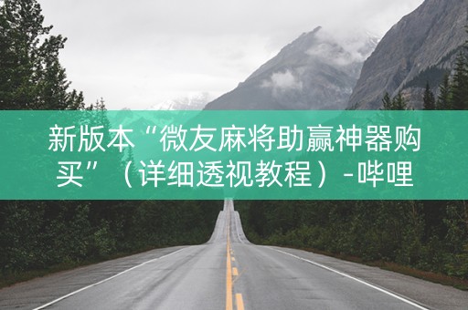 新版本“微友麻将助赢神器购买”（详细透视教程）-哔哩哔哩