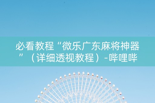 必看教程“微乐广东麻将神器”（详细透视教程）-哔哩哔哩