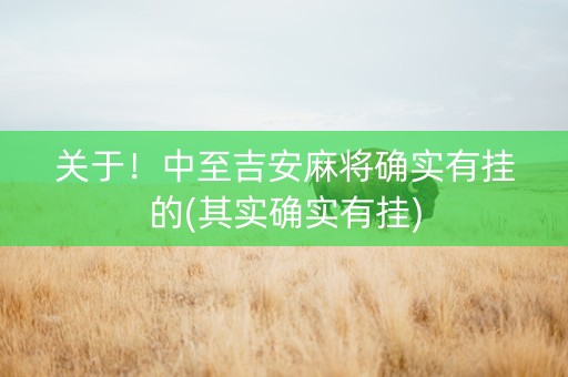 关于！中至吉安麻将确实有挂的(其实确实有挂)
