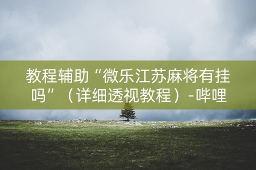 教程辅助“微乐江苏麻将有挂吗”（详细透视教程）-哔哩哔哩