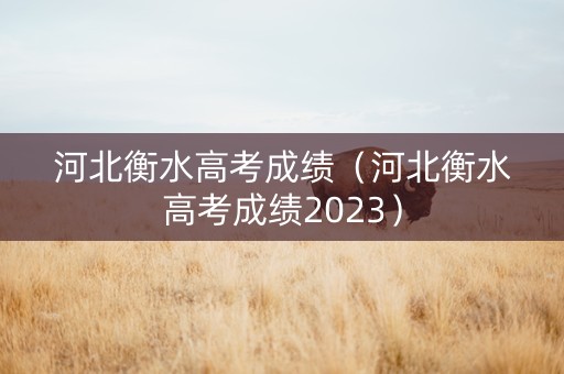 河北衡水高考成绩（河北衡水高考成绩2023）