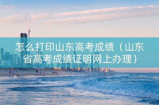 怎么打印山东高考成绩（山东省高考成绩证明网上办理）