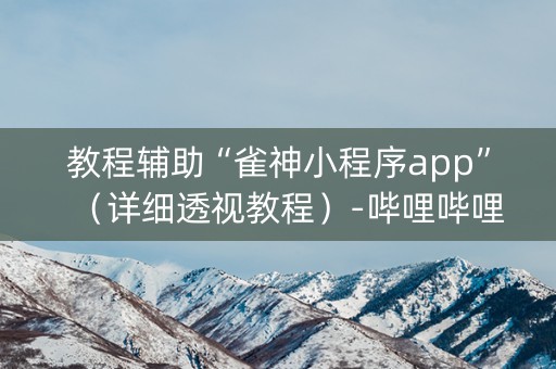 教程辅助“雀神小程序app”（详细透视教程）-哔哩哔哩
