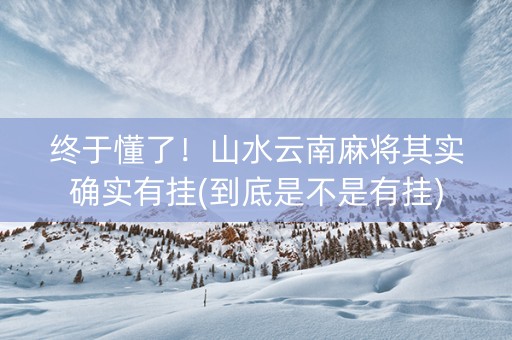 终于懂了！山水云南麻将其实确实有挂(到底是不是有挂)